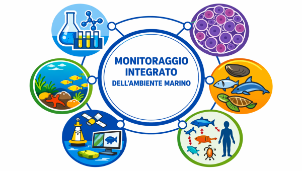 Il monitoraggio integrato dell’ambiente marino 